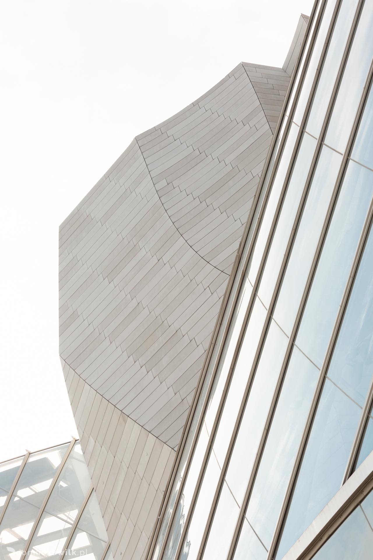 Louis Vuitton - Paryz - Frank Gehry