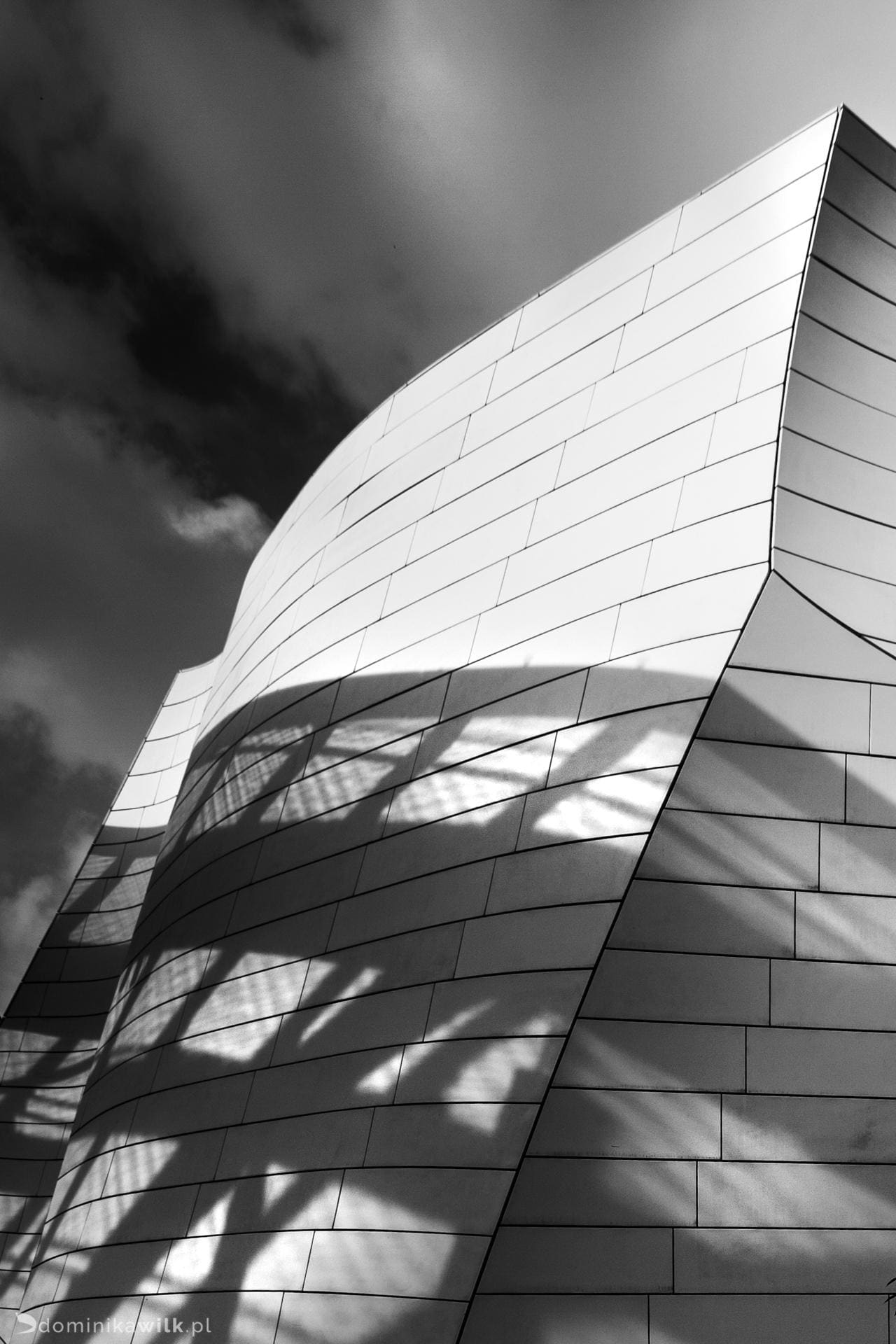 Louis Vuitton - Paryz - Frank Gehry