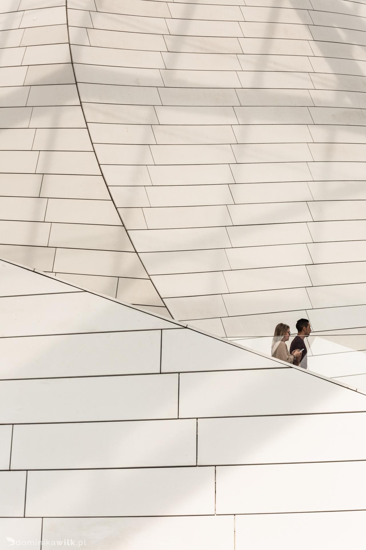 Louis Vuitton - Paryz - Frank Gehry